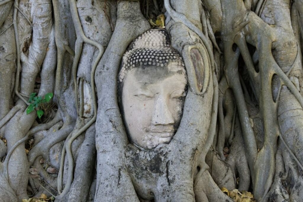 -Chiang Dao Thaïlande