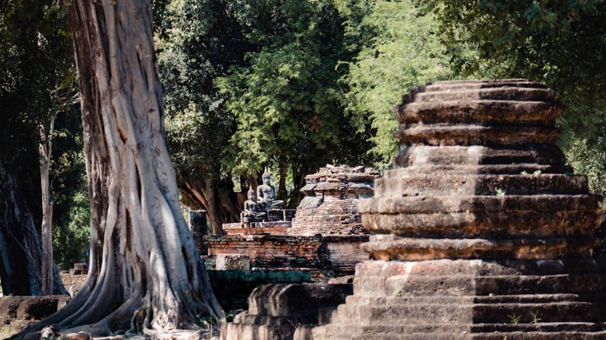 Assurance voyage en Thaïlande | Comparatif et conseils d'experts 12 Thaïlande nature exploration