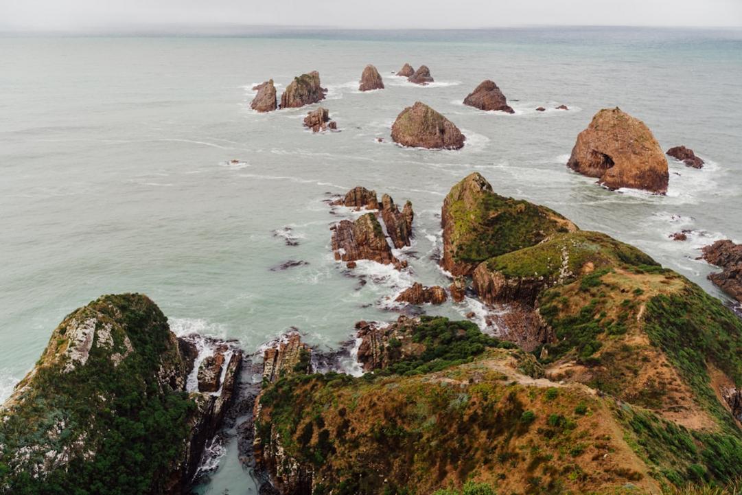 Top 6 choses à faire à Les Catlins, côte sauvage et forêts du sud-est 12 Les Catlins highlights