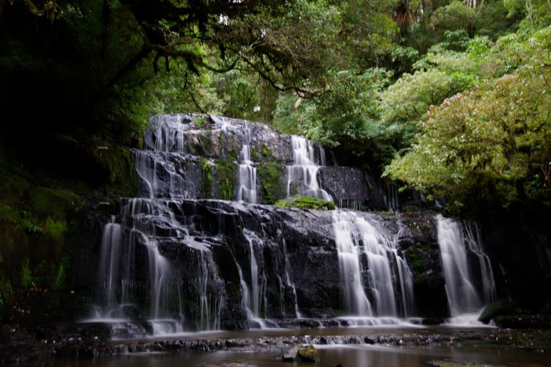 Top 6 choses à faire à Les Catlins, côte sauvage et forêts du sud-est 13 Les Catlins day plan