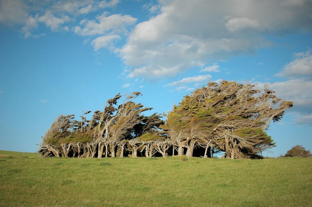 Top 6 choses à faire à Les Catlins, côte sauvage et forêts du sud-est 14 Les Catlins accommodation