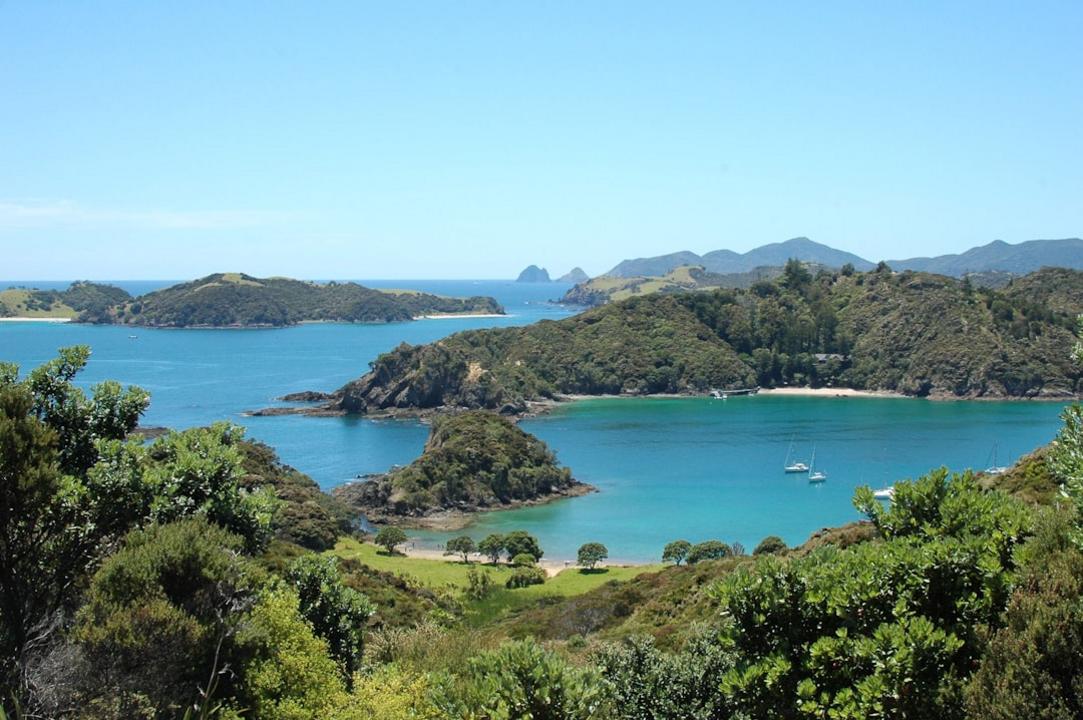 Top 11 choses à faire à Bay of Islands, archipel et patrimoine Waitangi 24 Bay of Islands activity