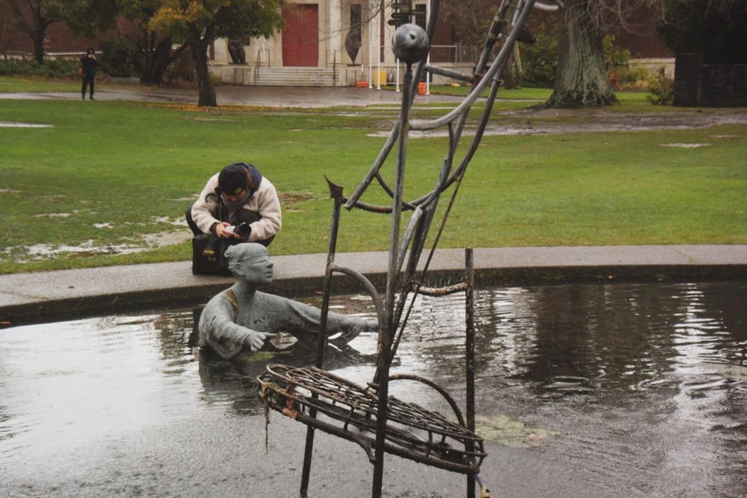 Christchurch activity