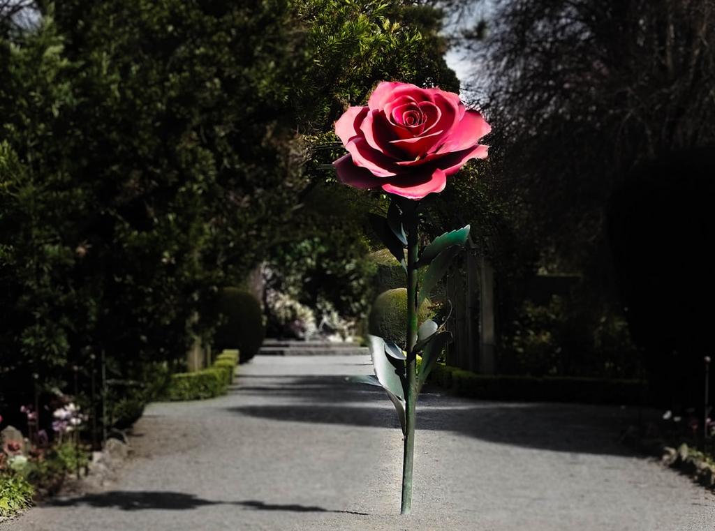 Christchurch day plan