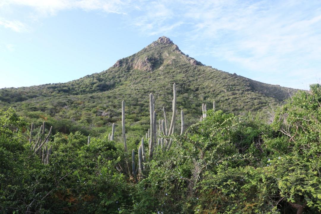 Les 4 Parcs Nationaux de Curaçao : Une journée entre terre et mer 13 Curacao national parks