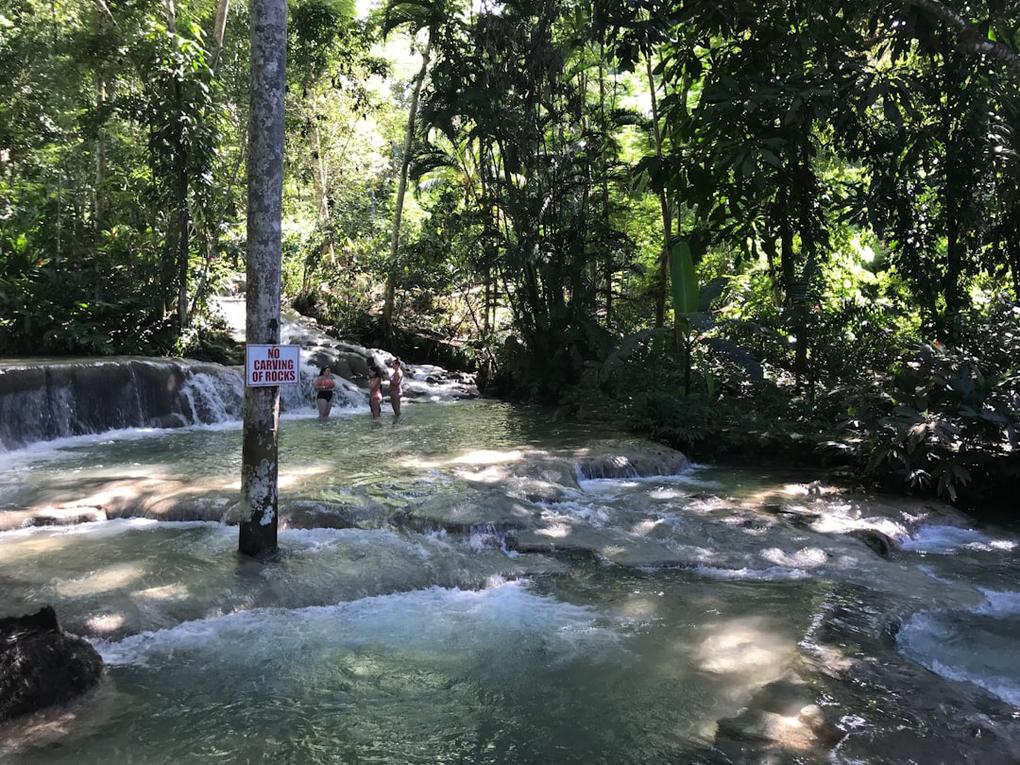 Cascades Jamaïca: Un voyage à travers les chutes d'eau 14 Jamaica cascade