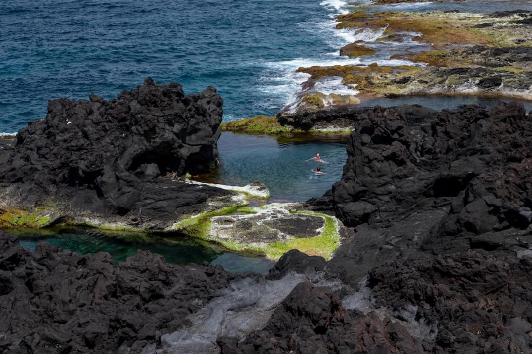 Top 6 activités à Maragogi, ville côtière d'Alagoas et ses galés 8 Maragogi highlights