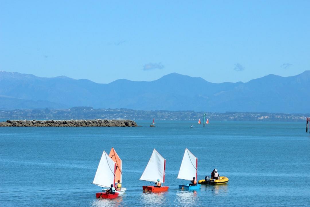 Nelson activity