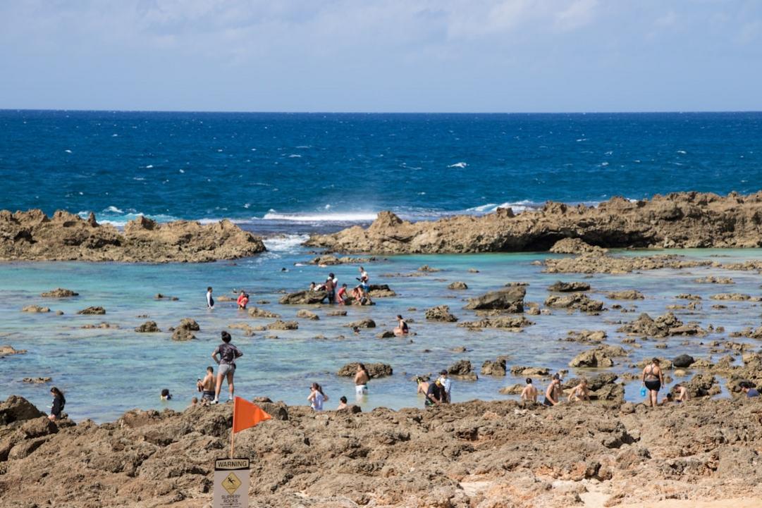 Top 6 activités à Pipa, village côtier avec dauphins près de Natal 11 Pipa day plan