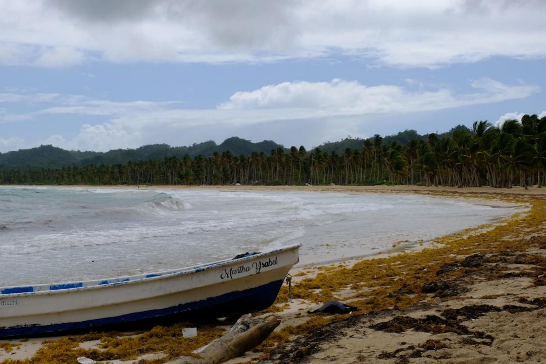 Playa Rincon highlights