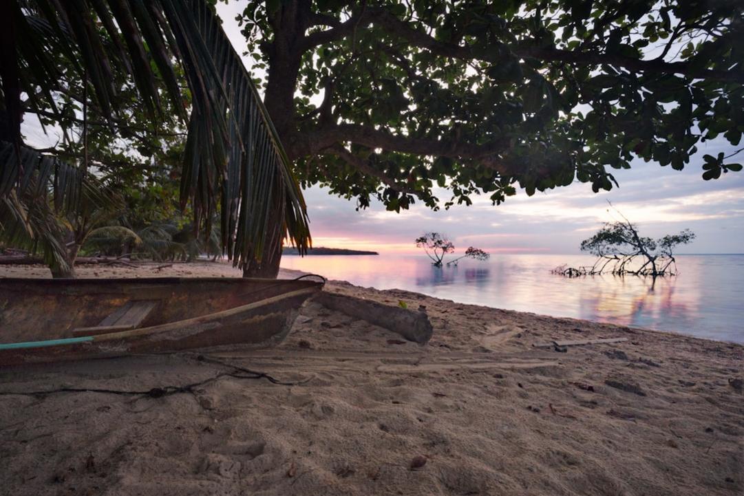 Roatan activity