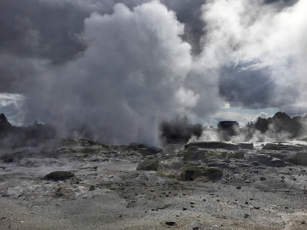 Top 11 choses à faire à Rotorua : culture maorie et géothermie 27 Rotorua activity