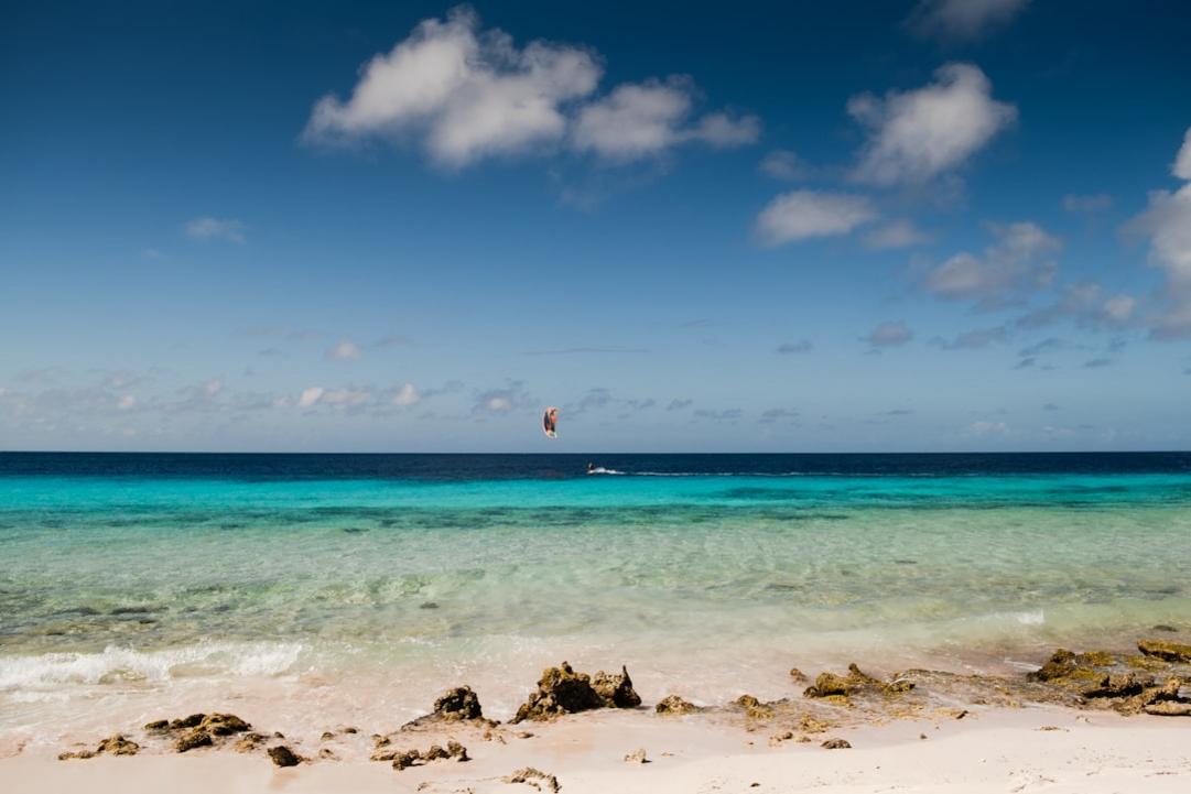 Top 5 activités à Salt Pier, plongée et surf à Bonaire 11 Salt Pier day plan