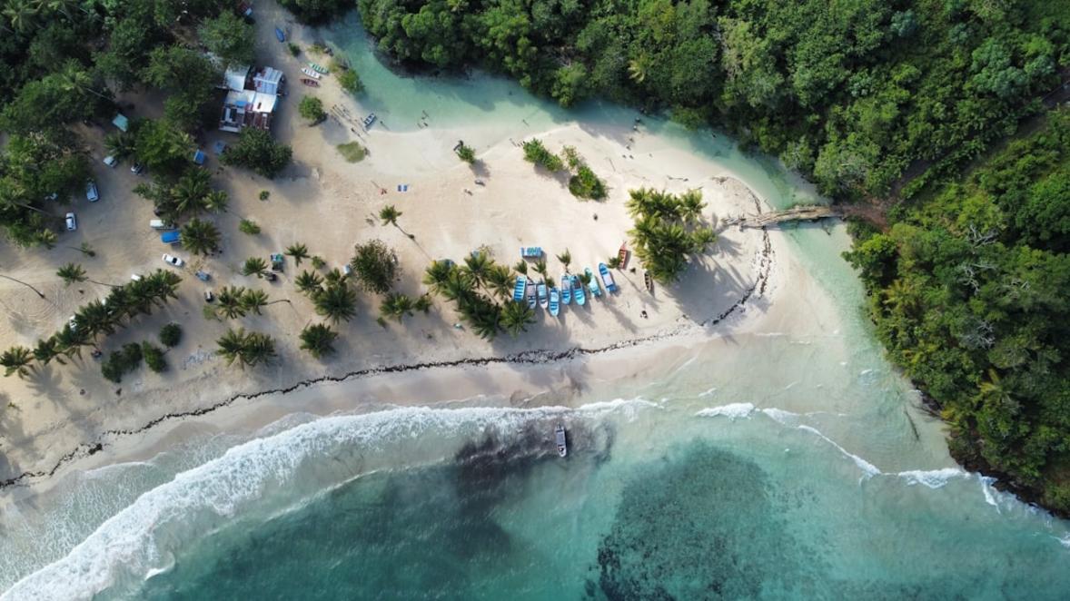 Samana activity