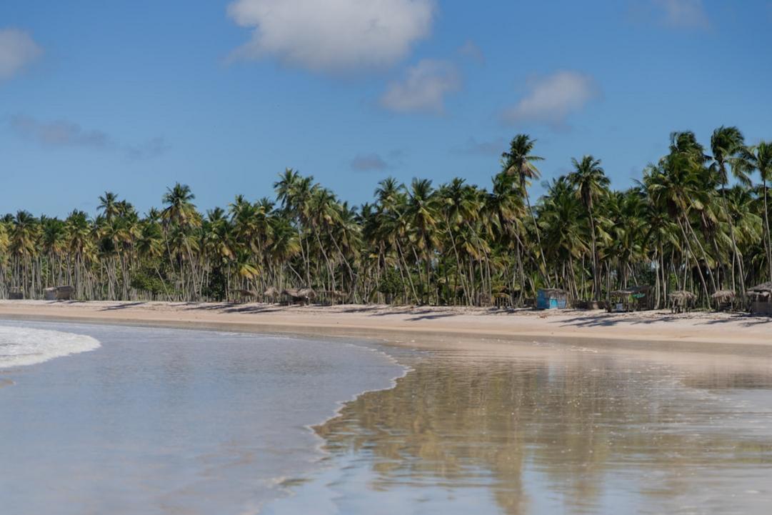Top 7 choses à faire à Trancoso, village colonial en Bahia 13 Trancoso day plan