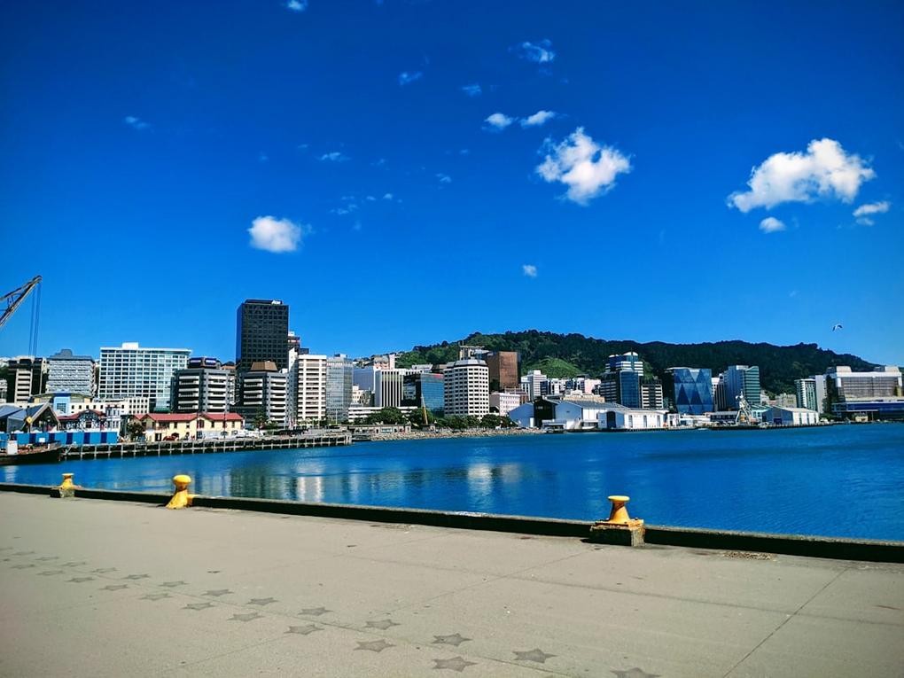 Top 13 choses à faire à Wellington, capitale culturelle 30 Wellington activity