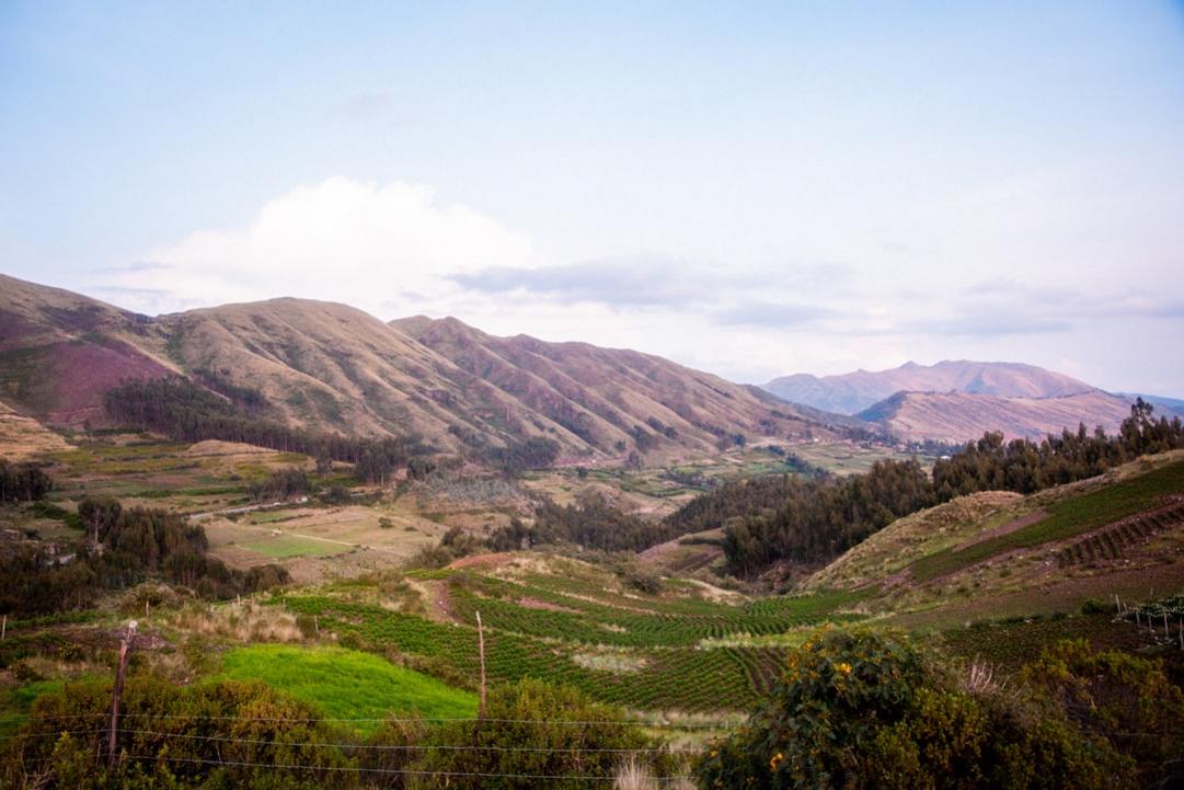 Pérou 2027 : Inti Raymi et Fiestas Patrias 21 Ambiance de festival en Peru