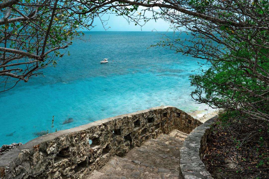 Plongée au site 1000 Steps à Bonaire 7 1000 Steps Bonaire dive site