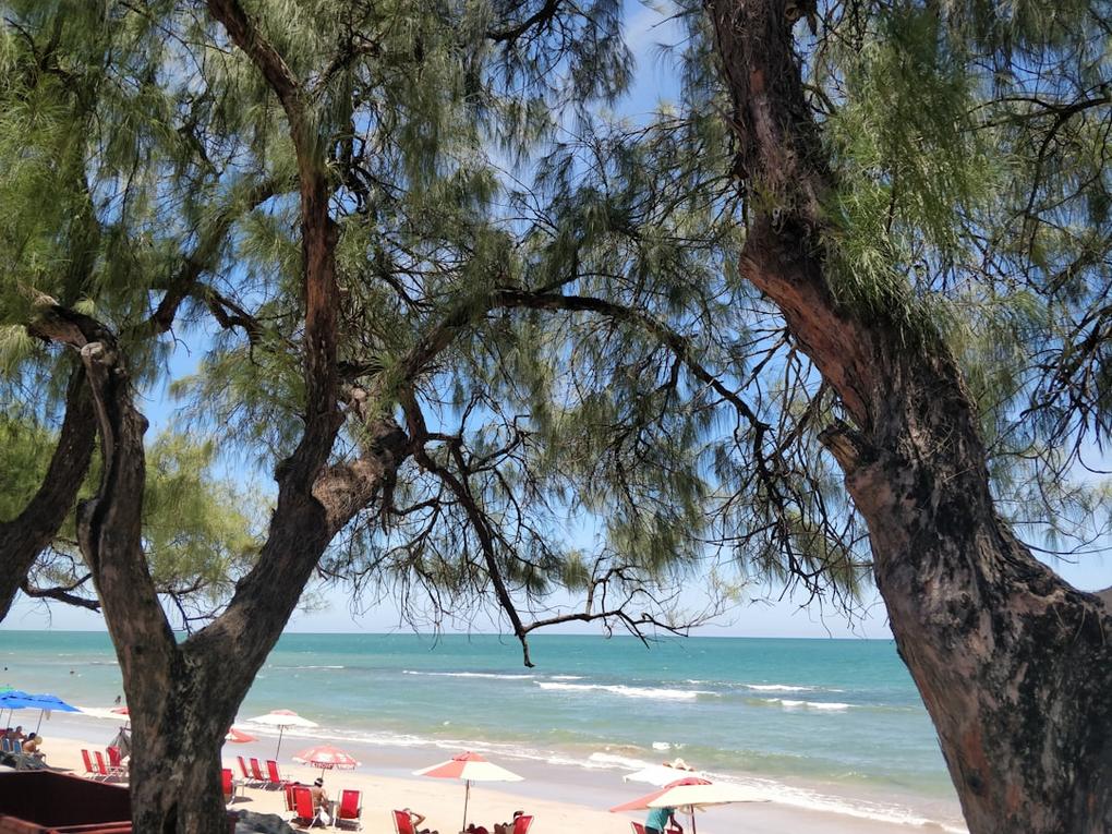 De Rio de Janeiro aux forêts amazoniennes en 28 jours 46 Brazil Rio Christ Redeemer Beach seen through the trees in Pernambuco
