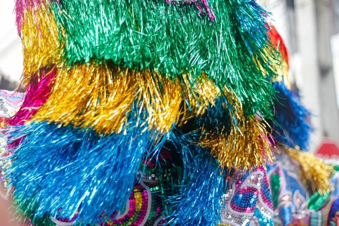 De Rio de Janeiro aux forêts amazoniennes en 28 jours 48 Brazil Rio Christ Redeemer Detalhe da cabeya de um Caboclo de Lanya se apresentando no Carnaval do Recife