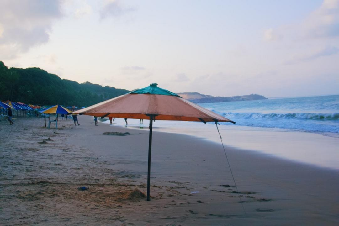 Brazil surf