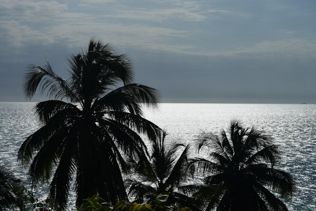 Playa Blanca à Monteverde : guide pratique 8 Playa Blanca - Monteverde