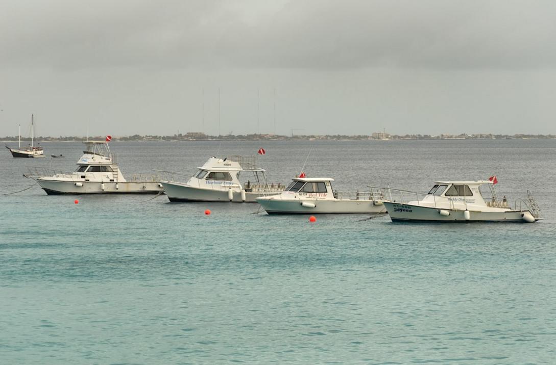 Les îles de Bonaire : 8 joyaux pour les amateurs de nature et d'aventure 29 Island hopping in Bonaire