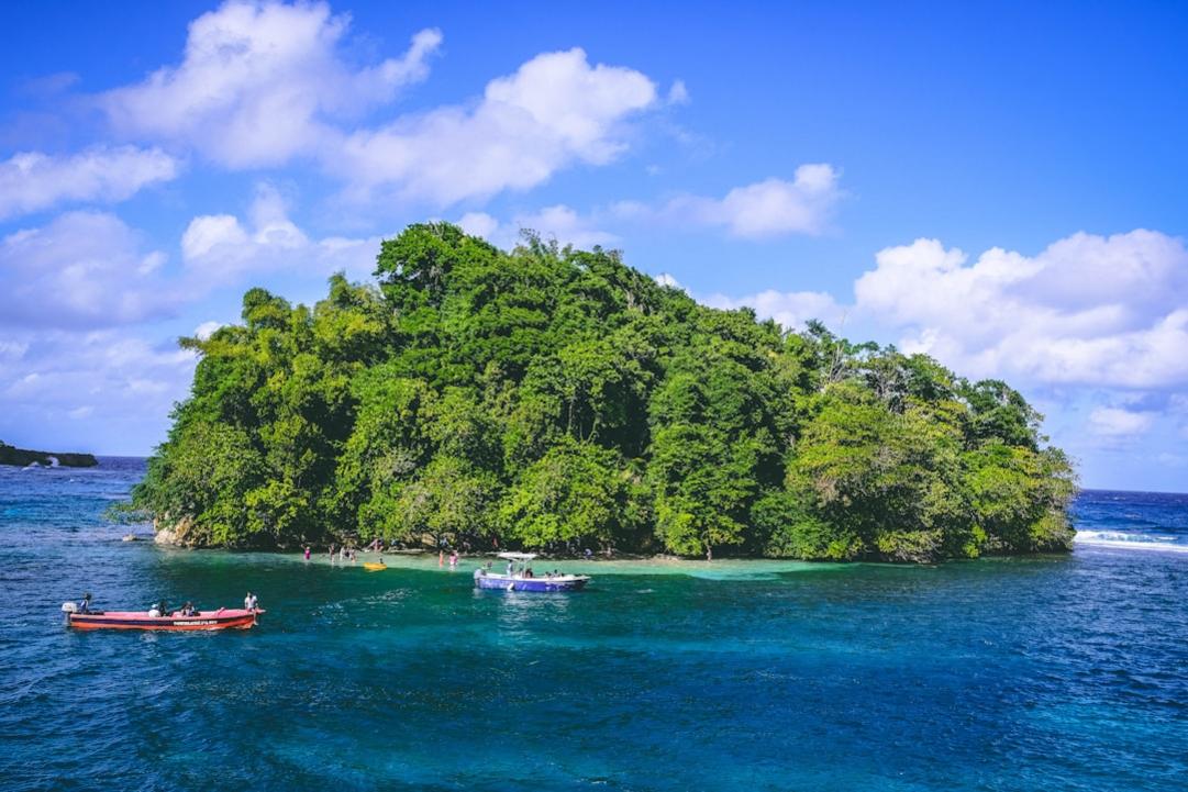 Snorkeling en Jamaïque : récifs protégés et eaux claires 18 Jamaica snorkeling