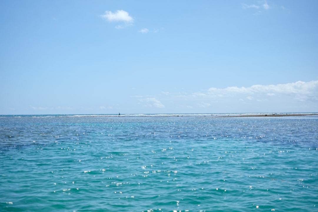 Baignoires naturelles de Porto de Galinhas 8 Porto de Galinhas natural pools jangada - Porto de Galinhas
