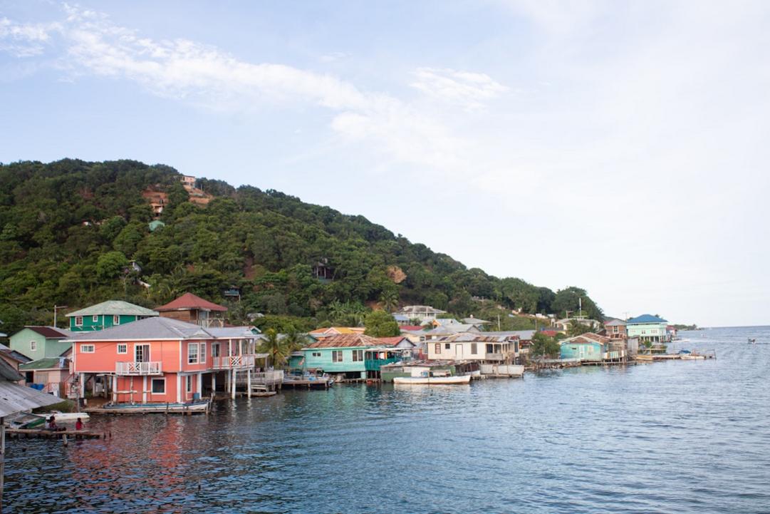 Honduras snorkeling