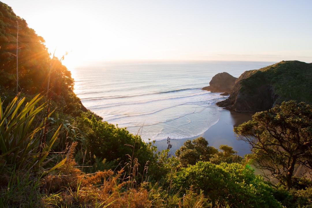 Jardins Botaniques de Christchurch : visite approfondie 7 Jardins Botaniques de Christchurch