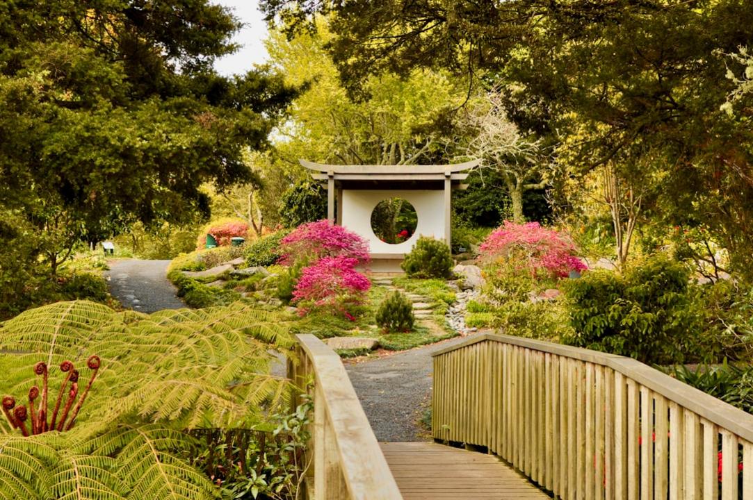 Jardins Botaniques de Christchurch : visite approfondie 8 Jardins Botaniques de Christchurch - Christchurch