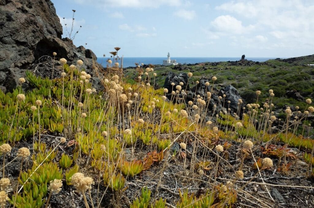 -Tubbataha Reefs Natural Park Philippines