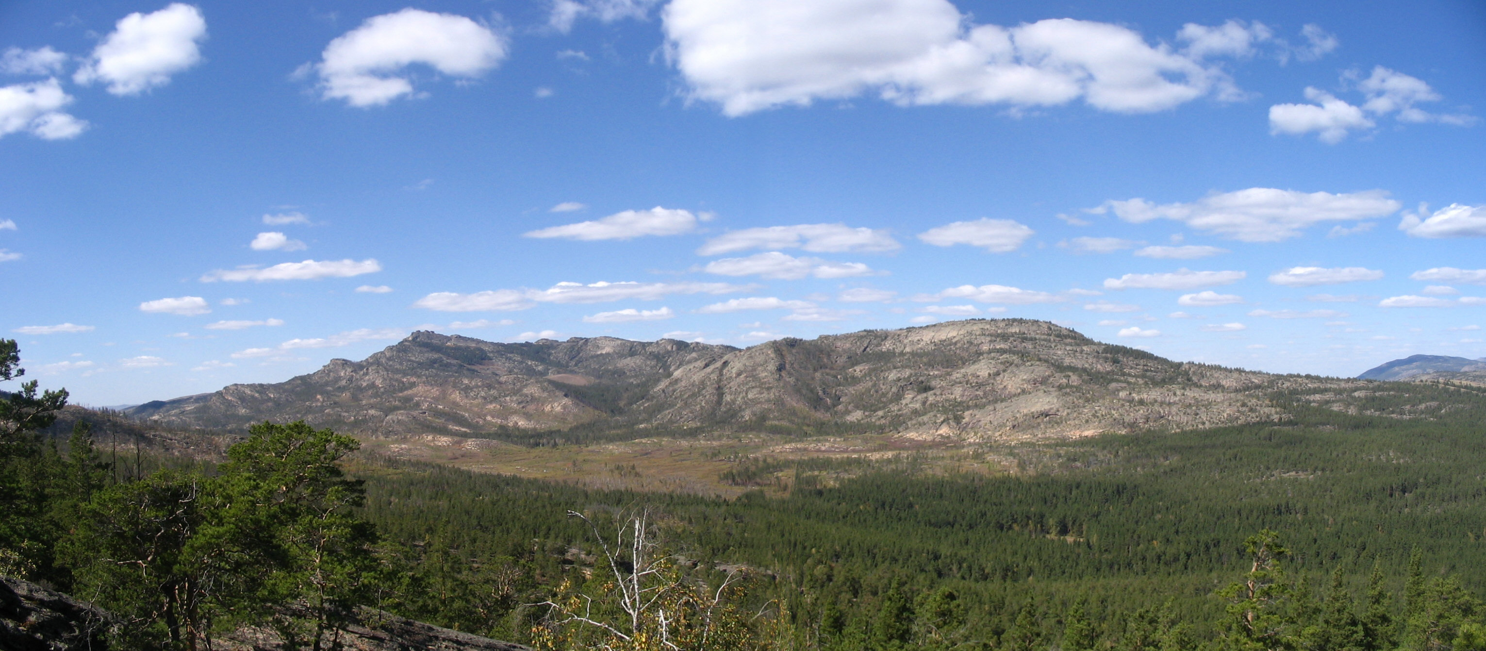 Forested hills and lakes of Karkaraly National Park