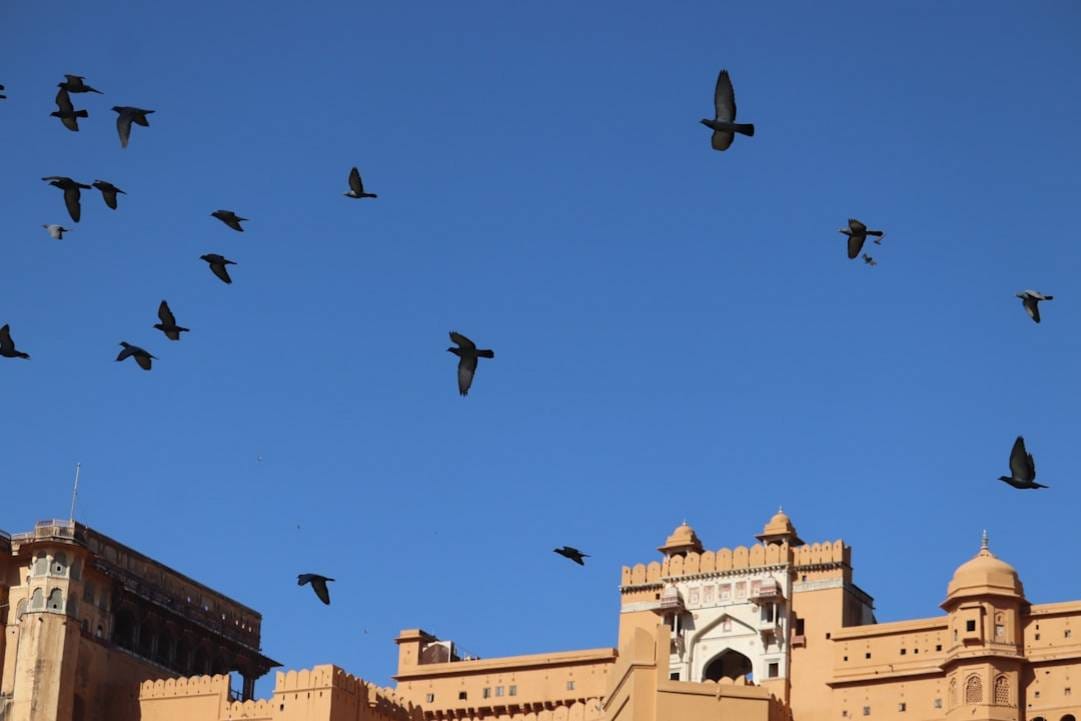 Jaipur travel overview