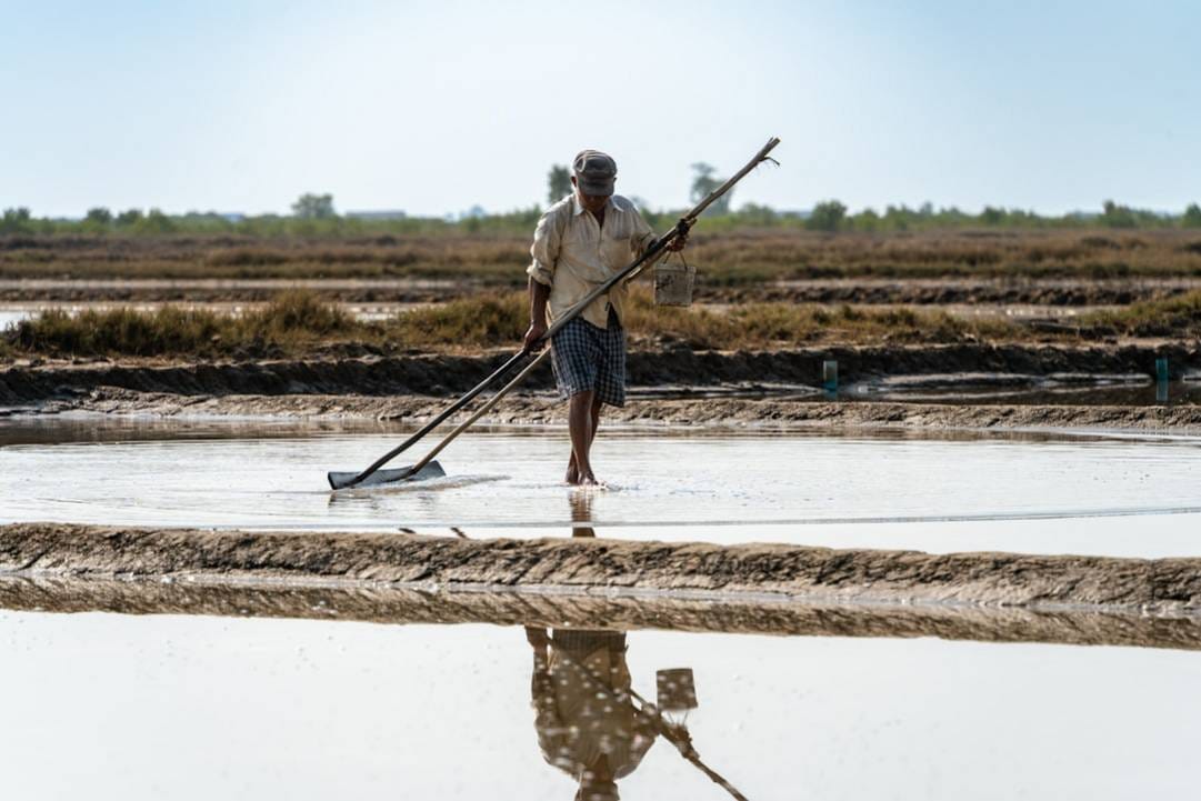 The 12 Best Rated Rice Fields in Cambodia 9 Cambodia rice-fields scenery view 7