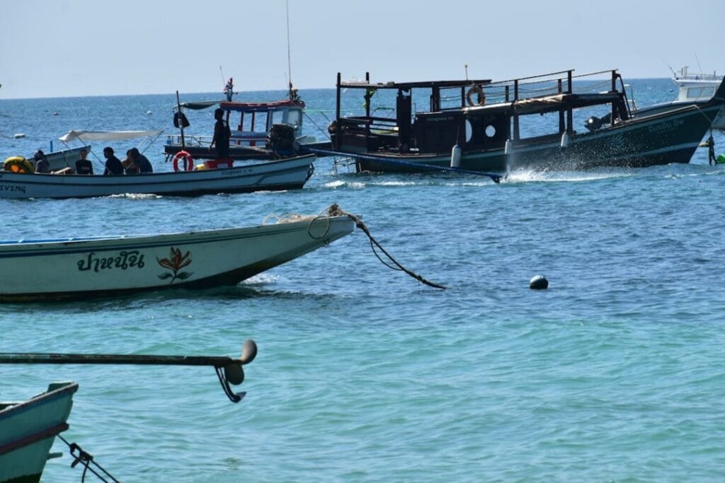 Shark Bay Snorkeling in Koh Tao: Highlights & Hacks 1 -Shark Bay Snorkelingshark-bay-snorkelingKoh Tao