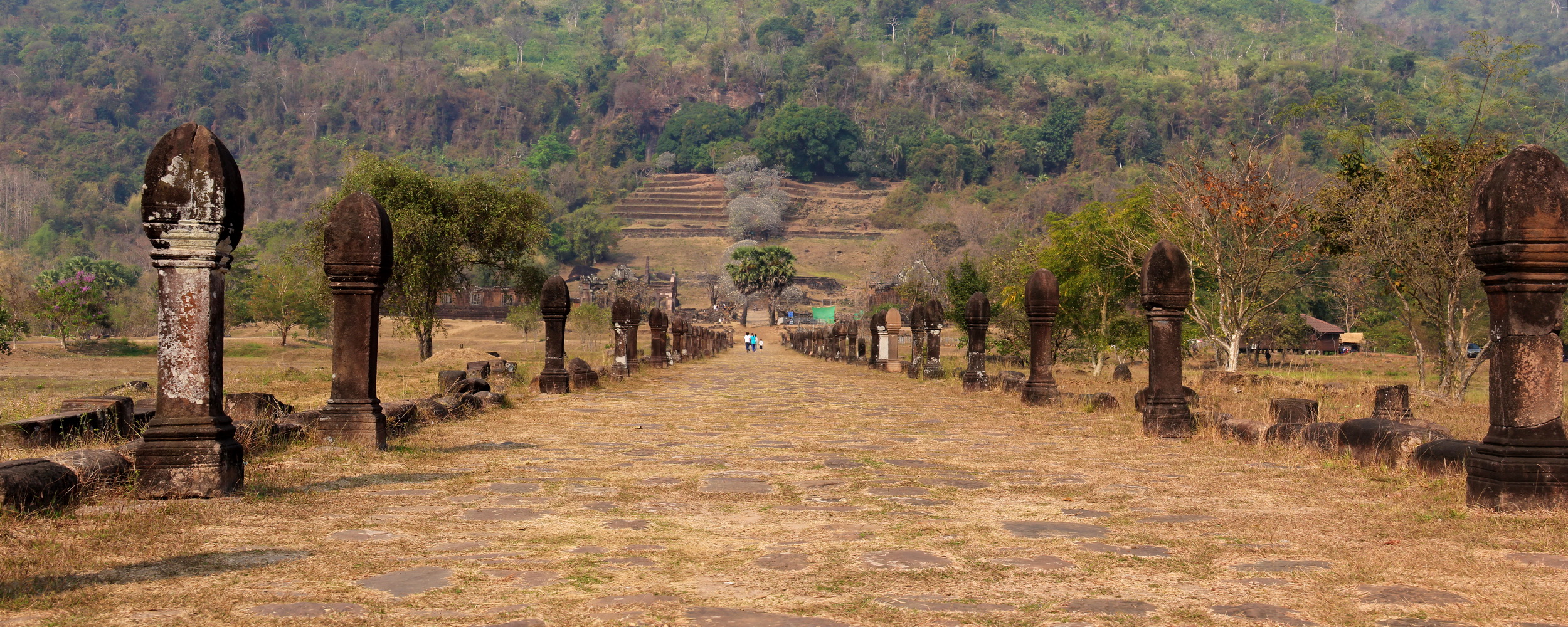 Les 11 principaux sites religieux du Laos : la procession aux aumônes à l'aube 27 Wat Phu, Champasak religious landmark