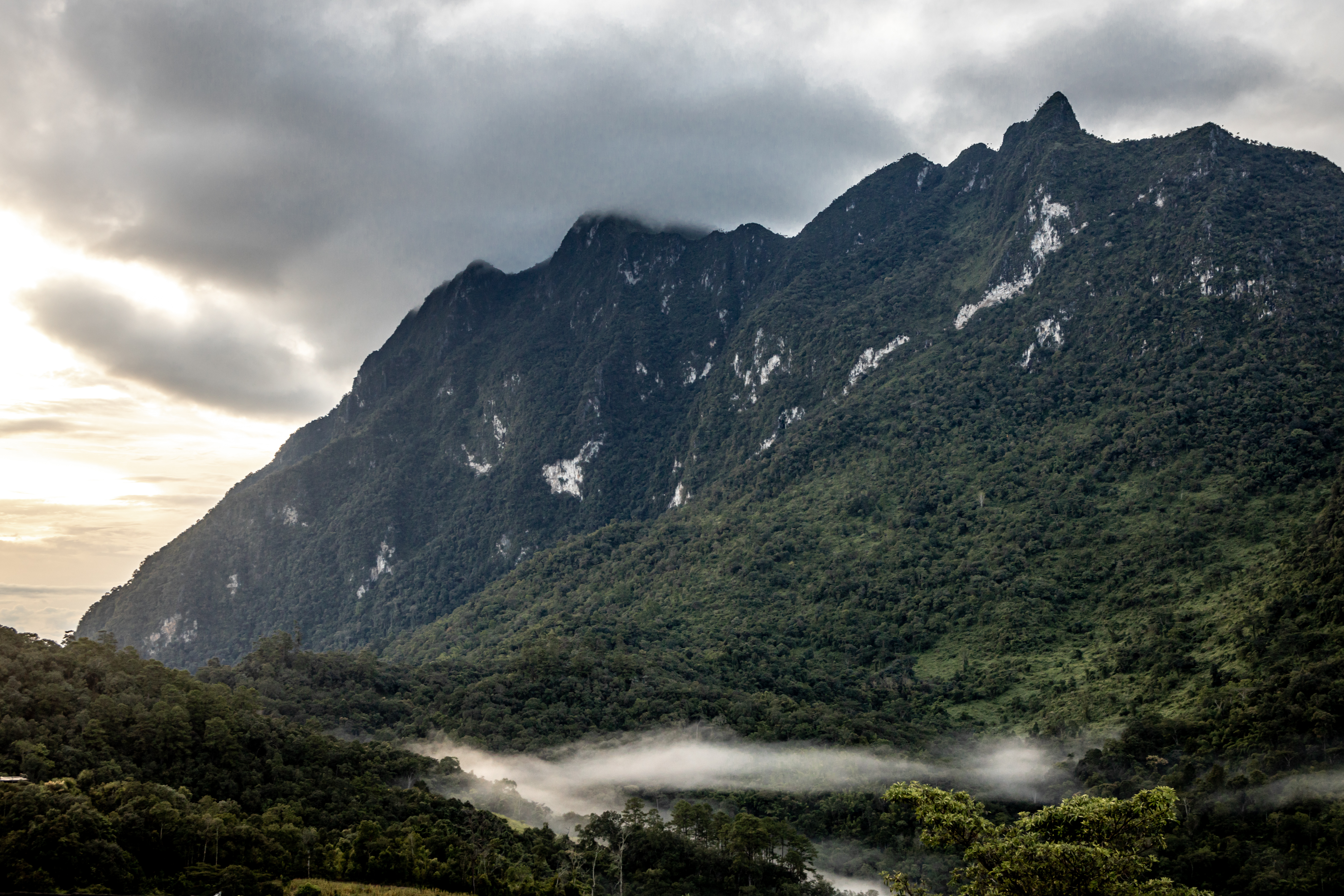 Thaïlande : 15 sommets à explorer 14 Doi Chiang Dao limestone peak rising above forest and cloud
