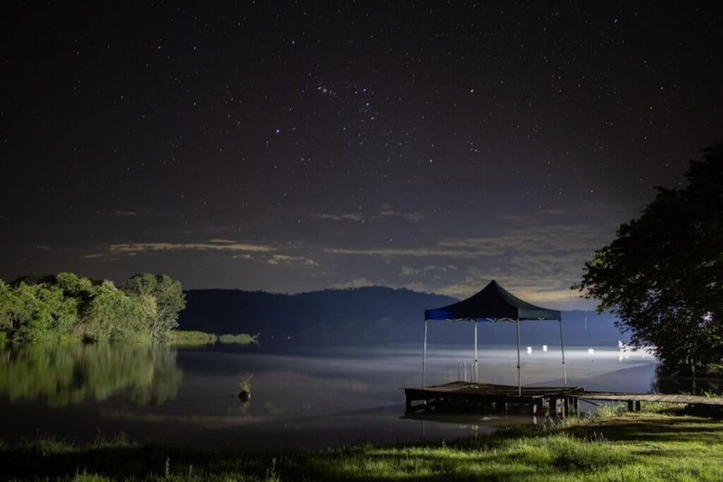 -Khao Sok Night Safarinight-safariKhao Sok