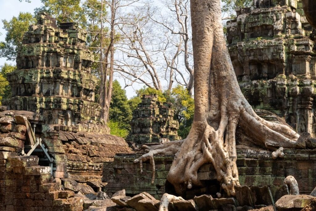 -Ta Prohm (Tomb Raider Temple)ta-prohmSiem Reap