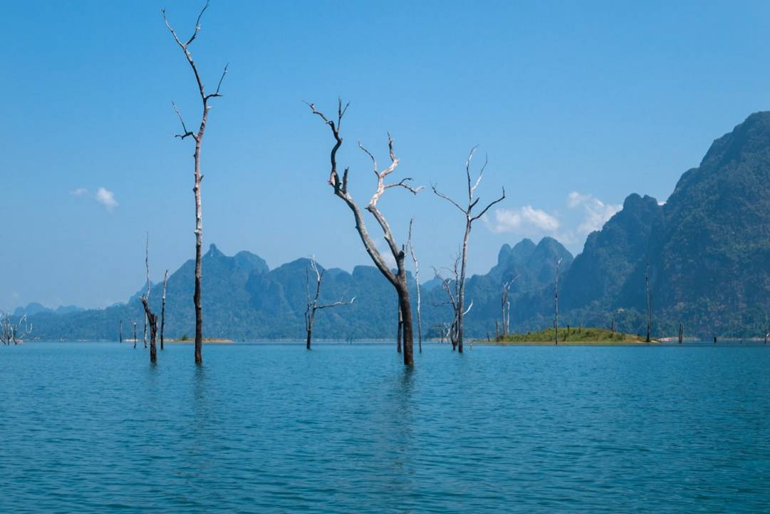 Cheow Lan Lake Day Tour in Khao Sok: Highlights & Hacks 3 Cheow Lan Lake Day Tourfloating-bungalowsKhao Sok overview