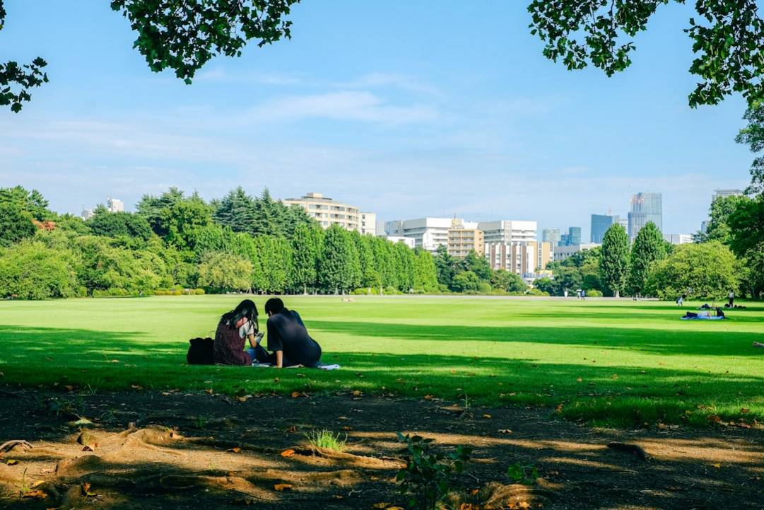 Shinjuku Gyoen National Gardenshinjuku-gyoenTokyo overview