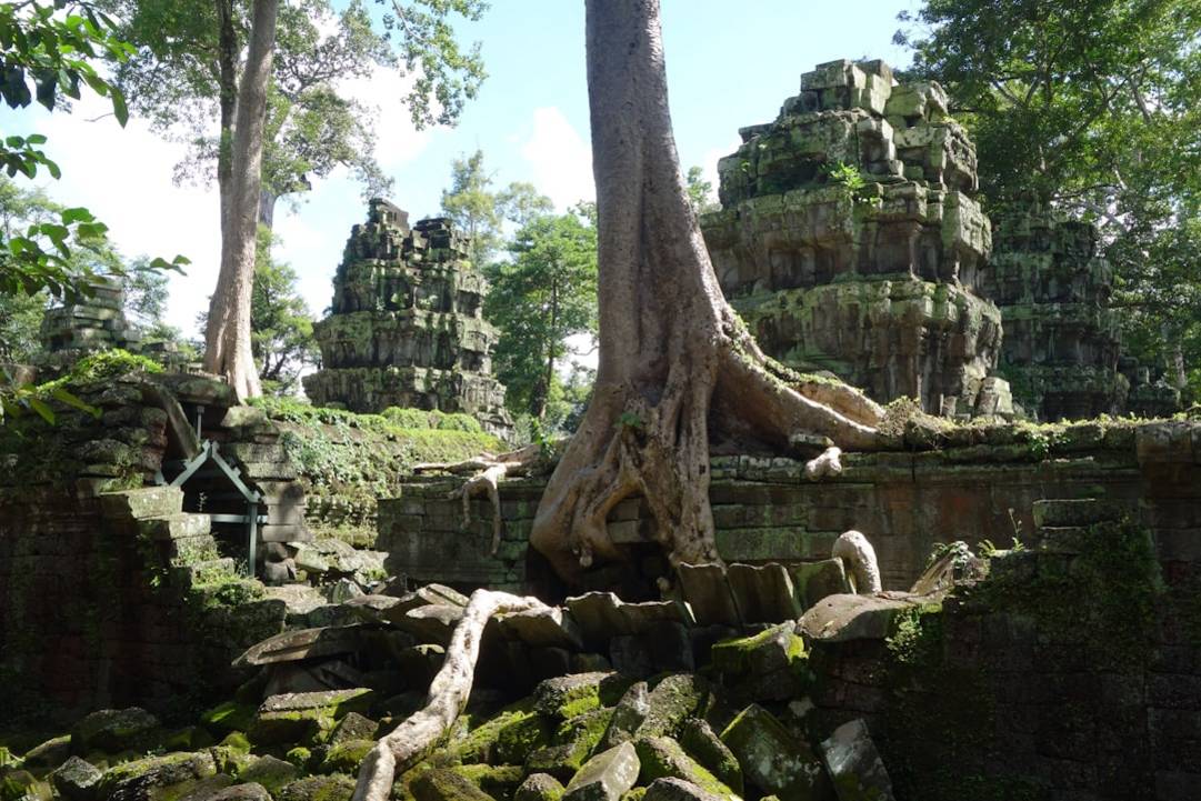 Ta Prohm (Tomb Raider Temple)ta-prohmSiem Reap details