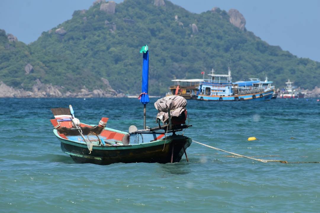 Shark Bay Snorkeling in Koh Tao: Highlights & Hacks 3 Shark Bay Snorkelingshark-bay-snorkelingKoh Tao overview