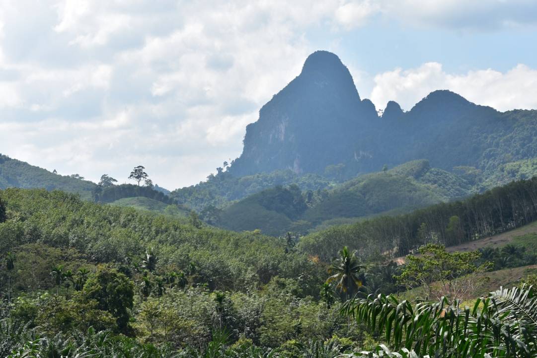 Cheow Lan Lake Day Tour in Khao Sok: Highlights & Hacks 5 Cheow Lan Lake Day Tourfloating-bungalowsKhao Sok scenery