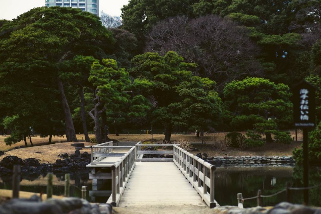 Shinjuku Gyoen National Gardenshinjuku-gyoenTokyo details