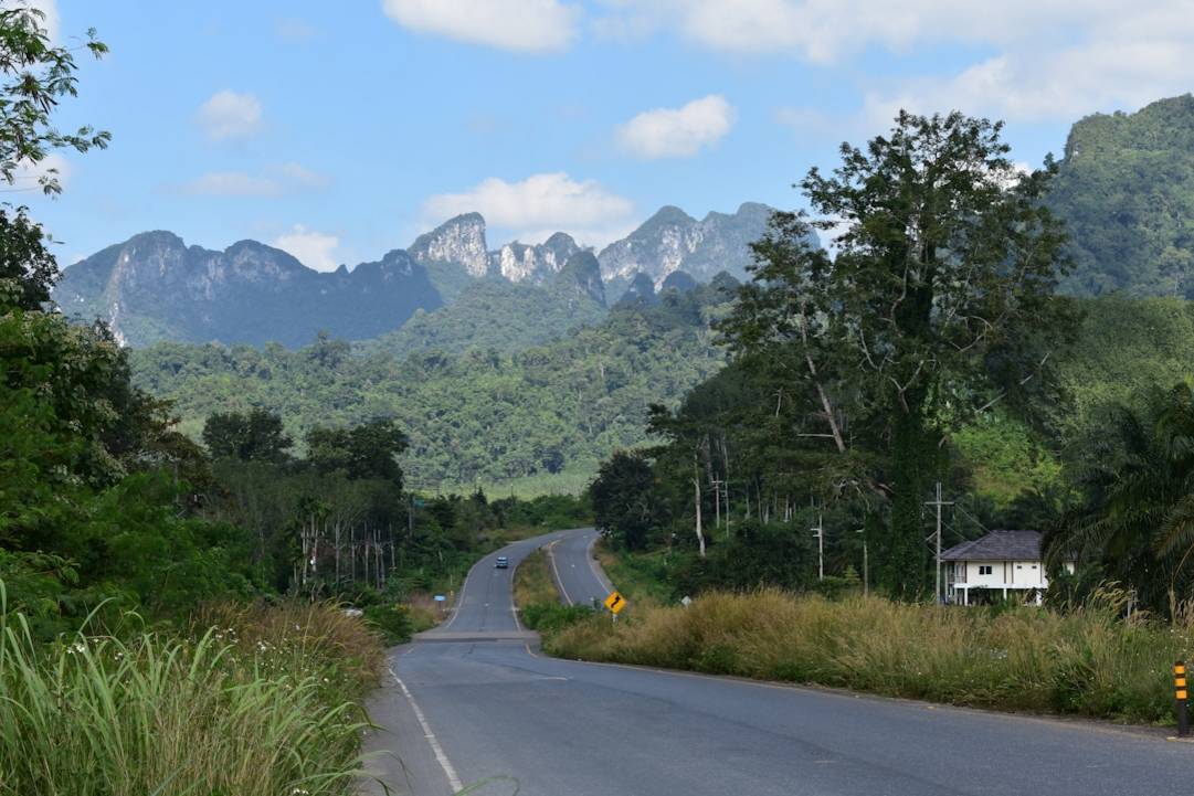 Khao Sok Night Safarinight-safariKhao Sok highlights