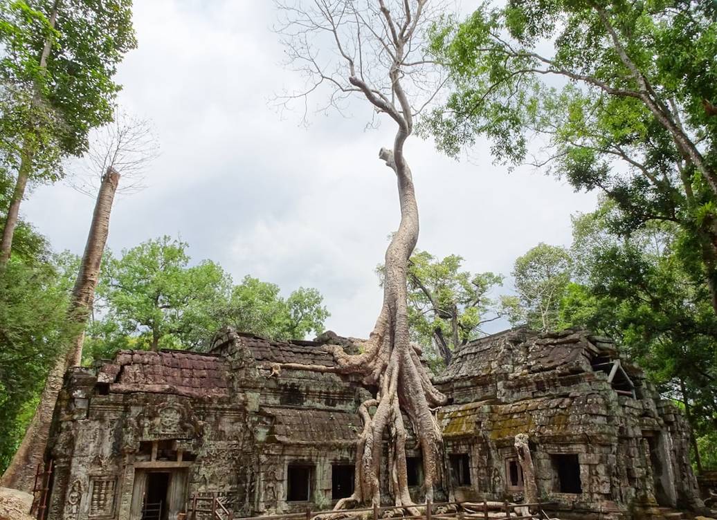 Ta Prohm (Tomb Raider Temple)ta-prohmSiem Reap overview