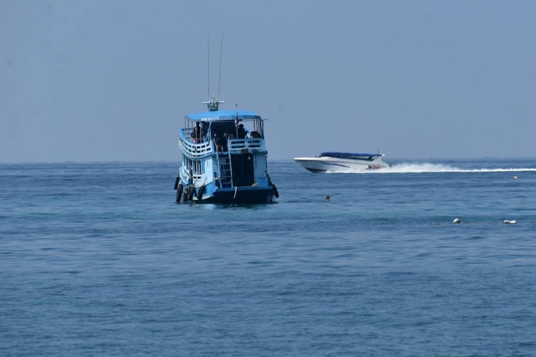 Shark Bay Snorkeling in Koh Tao: Highlights & Hacks 4 Shark Bay Snorkelingshark-bay-snorkelingKoh Tao highlights
